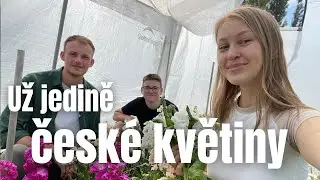 Lokální květiny v plné kráse #květiny #priroda