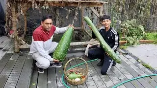 Huge Garden Harvest In November! Kitchen Garden in UK