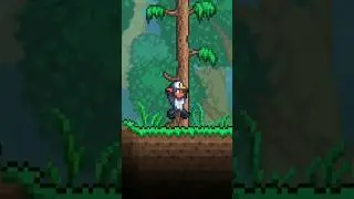 Did You Know This Terraria Secret!🤫 #terraria #secret #gaming