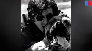 Sylvester Stallone    Nostalgia Shots from life 