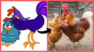 Galinha Pintadinha Personagens Vida Real / Batata Quente