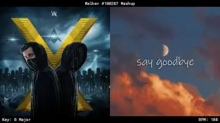 Say Goodbye ✘ Unity (Mashup) - Alan Walker & Skyper ft. The Walkers