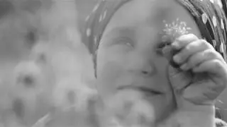 The Bee (Home Video)