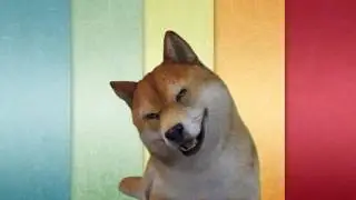 DOGE #1 🔴Доге Доге Доге Доге 🔴