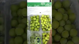 Persiapan Muat 