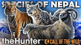 The AMAZING SPECIES of NEPAL!!! - Call of the Wild (Concept Video)