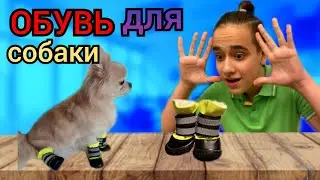 ОБЗОР НА ФЕДИНУ ОБУВЬ// ПЕРВОЕ ВИДЕО В 2021