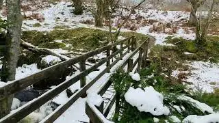 Lambley Viaduct North Pennines