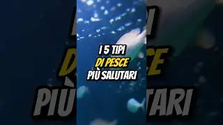 I 5 TIPI DI PESCE PIÙ SALUTARI🐟