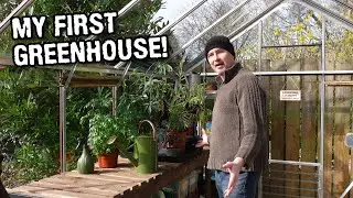 The greenhouse is operational - SO EXCITED!! 👨‍🌾🌿