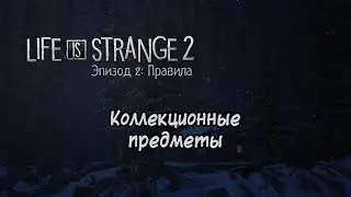 Все коллекционные предметы из «Life is Strange 2. Эпизод 2»