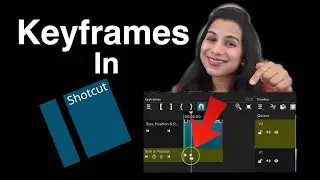 Shotcut Keyframes 101: Transform Your Videos