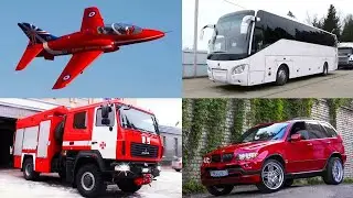 Изучаем цвета и машинки  Что лишнее ?Логика для детей