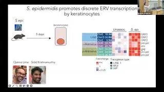 Microbiota control of host immunity and repair