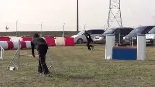 AGILITY EDUCAN 2013 02 16 12h55'01''