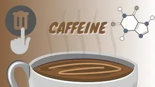 How Decaf Coffee is Made: Methods, pros and cons