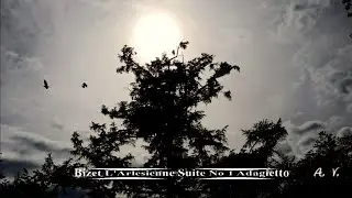 Bizet L'Arlesienne Suite No 1 Adagietto