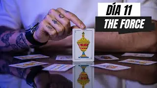 The Force | Cartomago En 90 Días #11