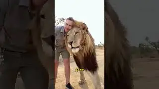 The lion's keepers became his family forever 