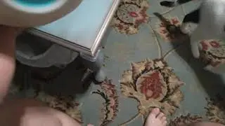 What is this ball doing!?
