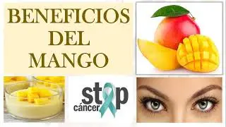 BENEFICIOS DEL MANGO.
