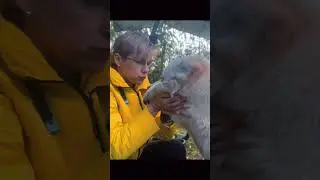 Сегодня Шаху     год!!!