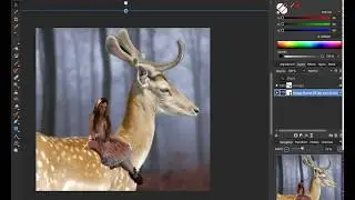 how to do Nik collection  Effects in affinity photo tutorial