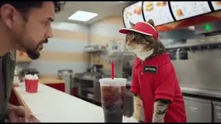 Cats With Jobs Gone Wrong: The 