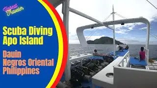 Scuba Diving Apo Island, Dauin, Philippines (4K)