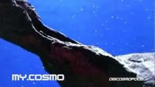 MY.COSMO - Discosmopolis