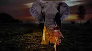 color photo editing #editing #color
