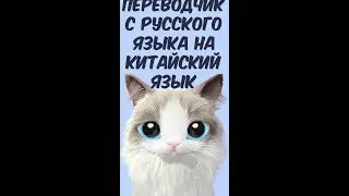 ПЕРЕВОДЧИК С РУССКОГО ЯЗЫКА НА КИТАЙСКИЙ ЯЗЫК