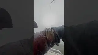 Рыбалка на Дону 🎣