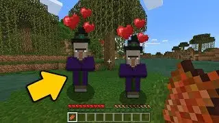 КАК ПРИРУЧИТЬ ВЕДЬМУ В MINECRAFT PE 1.11?