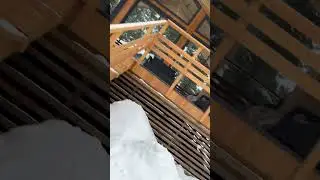 Сколотили барн в Перми. Радуемся кайфуем от работы #танстрой #тан_barb92