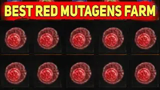 The Witcher 3 Where To Find Red Mutagens, Best Red Mutagens Farm Early 2025