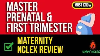NCLEX Prep: Maternity Nursing – Prenatal & First Trimester Concepts | NCLEX Review