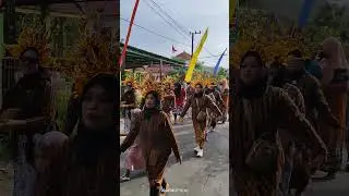 ekosvideografi karnaval ngluyu part 0005
