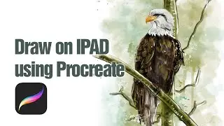 Drawing Eagle (bird) on the iPad using Procreate !