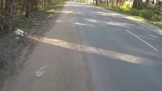 гандонина