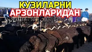 КУЗИЛАРНИ САРАЛАРИ ЧИКДИ КАРШИ КАРВОН МОЛ БОЗОРИДА