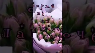 Доброе утро!!! 😀😀😀