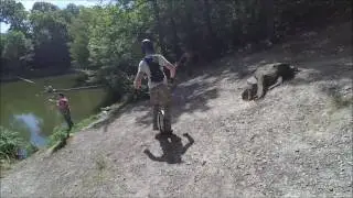 Rando forêt de Meudon en gyroroue