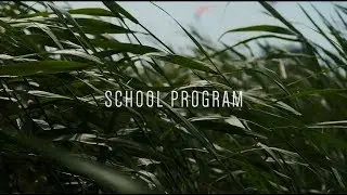 Peter Lynn Kite School Program