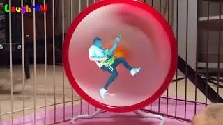 Soma just having the time of his life