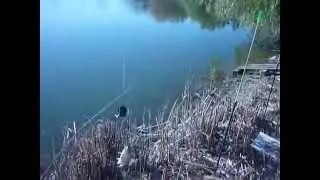 на рыбалке в Карповке 1