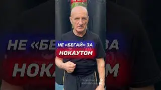 Не нужно гоняться за нокаутом. Бокс. 