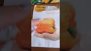 Обзор семян перцев и планы на сезон 2023 года🌶️
