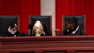 Honeycutt v. United States: Oral Argument - March 29, 2017