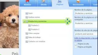 Paginas Interiores